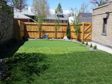 Artificial Grass Photos: Artificial Pet Turf Topanga California Lawns